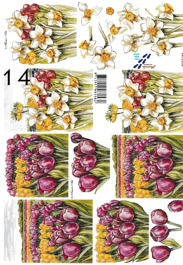 Papír na 3D přání - tulipány, narcisky