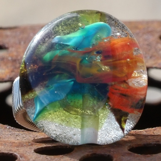 akvarium-se-sasankou-prsten-violaart  (5).jpg