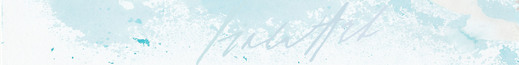 baner sníh logo 2.jpg