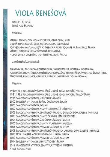 CURRICULUM VITAE PRO WEB.jpg