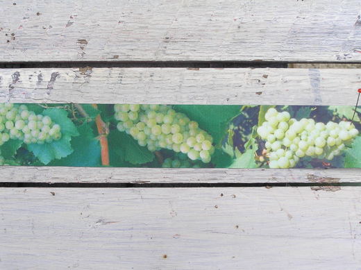 grape víno (1).JPG