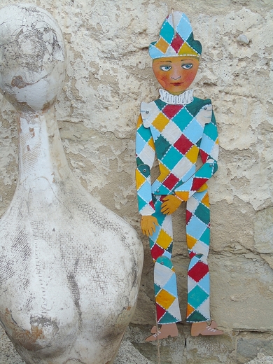 harlequin (3).jpg
