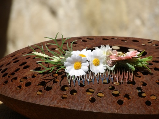 hrebinek-kopretiny-violaart (1).jpg