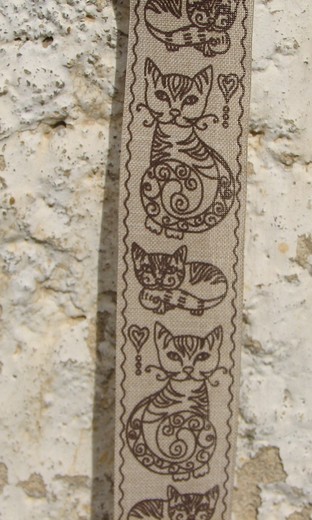 kočička (1).JPG