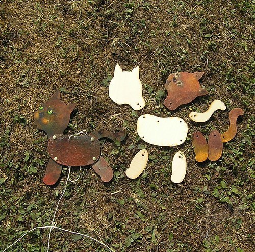 kočička v běhu (4).jpg