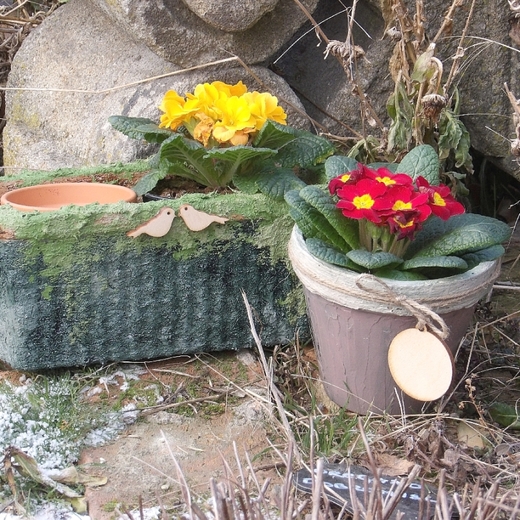 květinová zahrádka 2019 (1).jpg