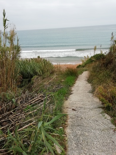 louceni-agios-georgios-bar-malibu (1).jpg