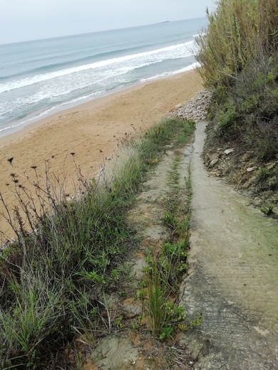 louceni-agios-georgios-bar-malibu (2).jpg