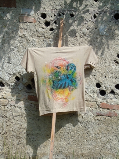 modrá kočička (1).JPG