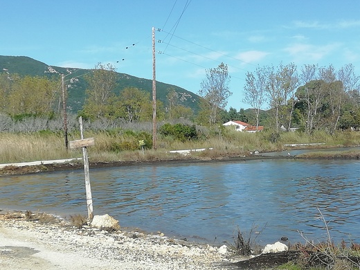 moje-plaz (11).jpg