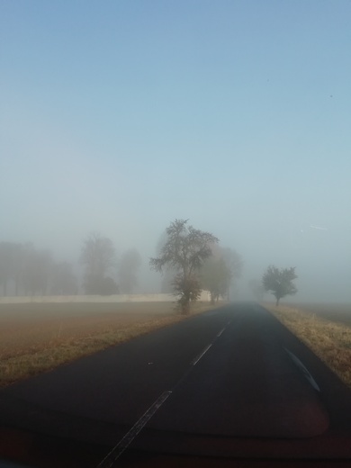 Na ceste 29.10.2021-už doma (3).jpg