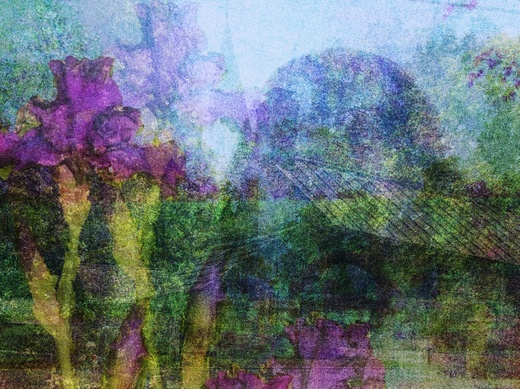 new-harmony-original-violaart.jpg