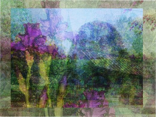 new-harmony-violaart.jpg