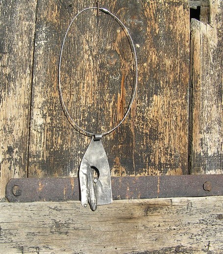 orthoceras (1).JPG