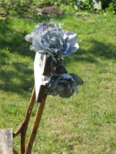 sedý (2).JPG
