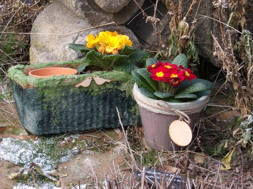 truhlíčky1 (4).jpg