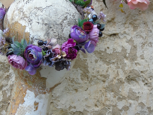 viola (1).jpg